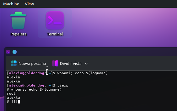 Exploit Dirty Frag funcionando: root obtenido desde usuario alexia